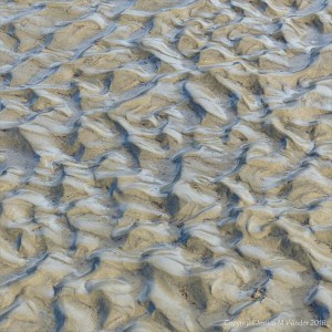 Natural pattern od sand ripples on the beach at Lyme Regis