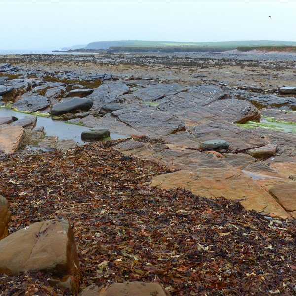 View looking northeast across the causeway at Birsay in Orkney