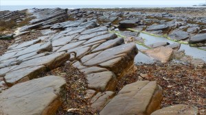 Outcropping Devonian sedimentary Upper Stromness Flagstone in Orkney