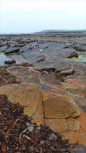 Rocks in the rain at Birsay Causeway in Orkney