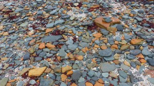 Beach stones at Birsay Causeway in Orkney