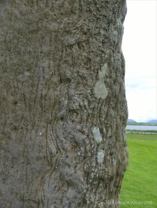 Close-up of rock texture on a Standing Stone of Stenness