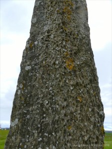 Close-up of rock texture on a Standing Stone of Stenness