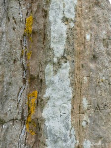 Close-up of rock texture on a Standing Stone of Stenness