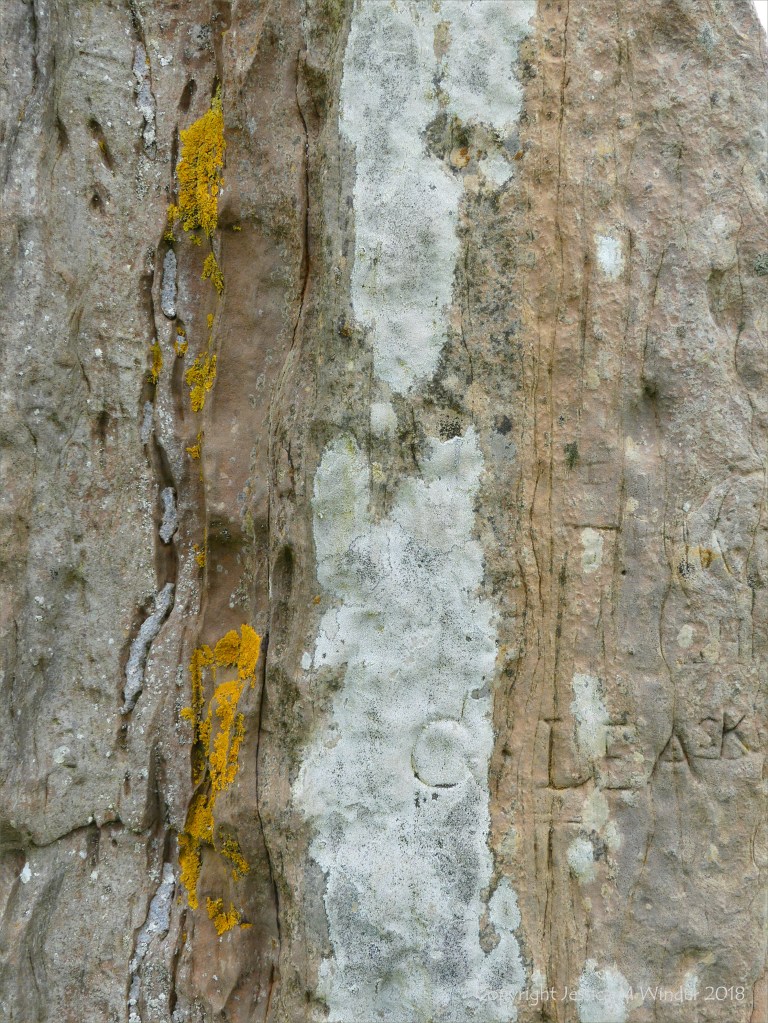 Close-up of rock texture on a Standing Stone of Stenness