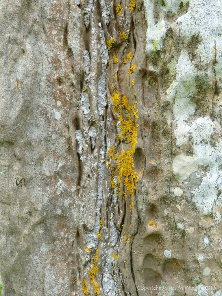 Close-up of rock texture on a Standing Stone of Stenness