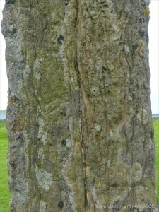 Close-up of rock texture on a Standing Stone of Stenness