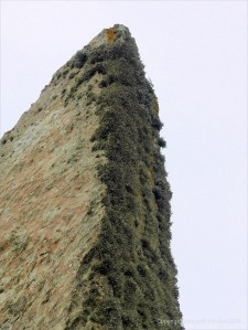 Close-up of rock texture on a Standing Stone of Stenness