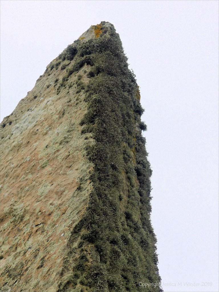 Close-up of rock texture on a Standing Stone of Stenness