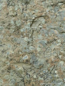 Close-up of rock texture on a Standing Stone of Stenness