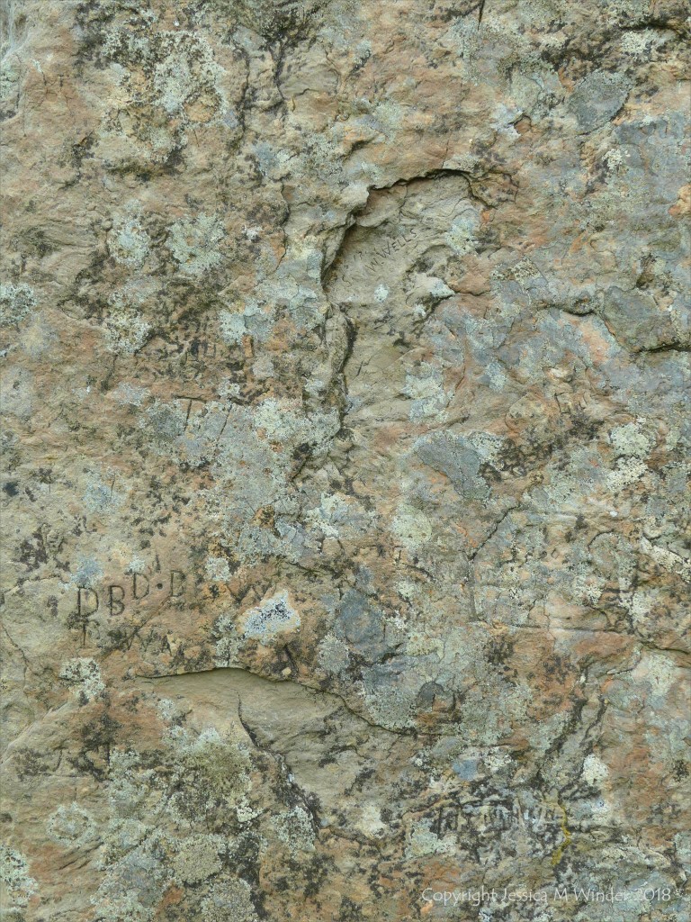 Close-up of rock texture on a Standing Stone of Stenness