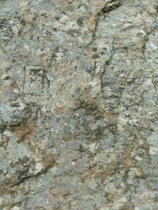 Close-up of rock texture on a Standing Stone of Stenness