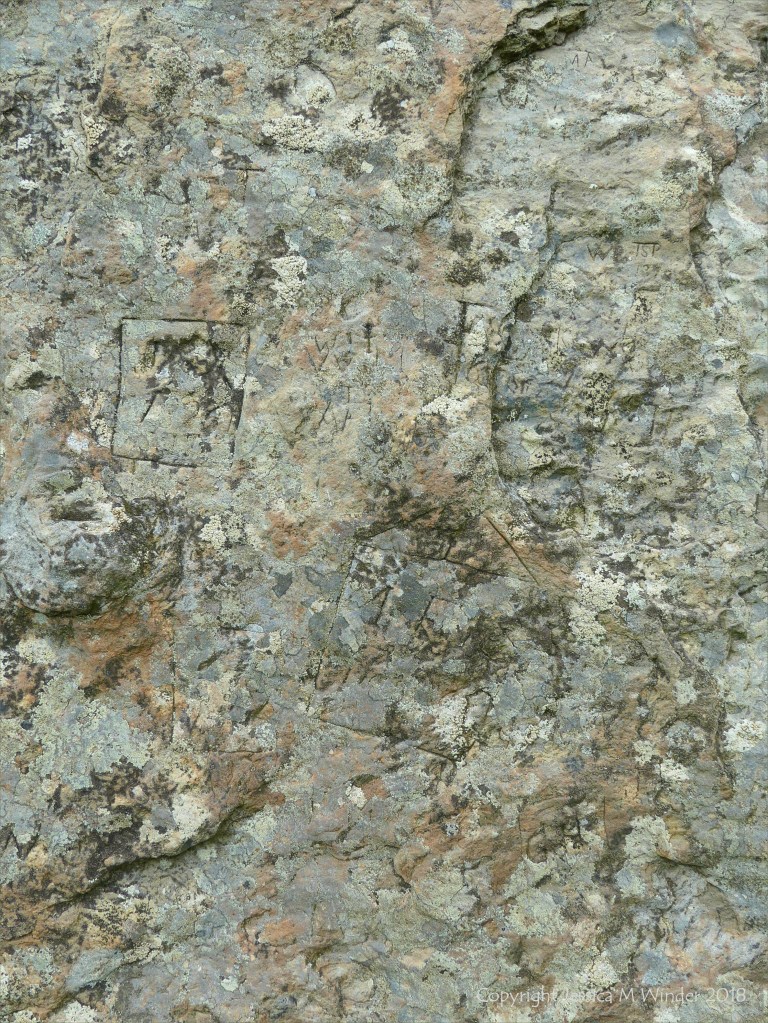 Close-up of rock texture on a Standing Stone of Stenness