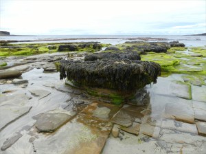View from the beach at Bay of Skaill