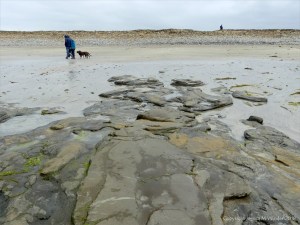 View from the beach at Bay of Skaill