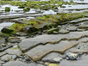 View from the beach at Bay of Skaill