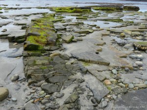 View from the beach at Bay of Skaill
