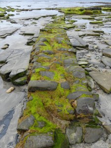 View from the beach at Bay of Skaill