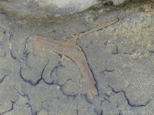 Peat beneath boulders on the beach with preserved wood
