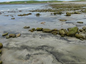 Peat beneath boulders on the beach