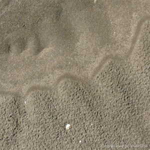 Natural pattern in the sand