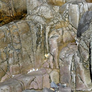 Natural pattern in rocks