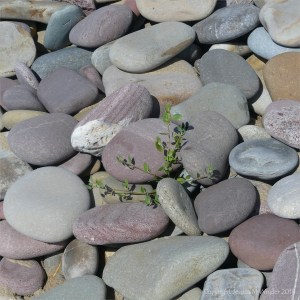 Pebbles on the beach