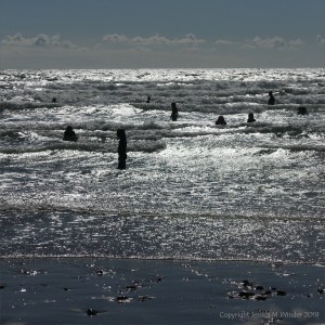 Seaside scene with swimmers