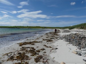 View of Newark Bay in Orkney looking west rom beach level