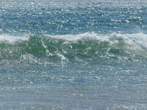 Scintillating surf at Newark Bay