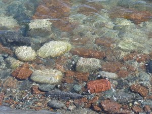 Underwater boulders by a sea wall