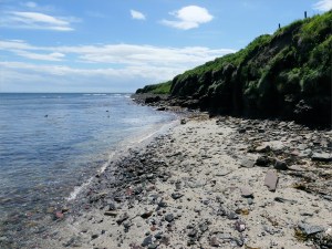 The west side of Newark Bay looking south