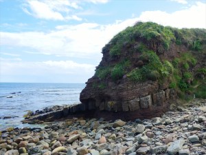 Cliff of Old Red Sandstone Supergroup rocks at Newark Bay in Orkney