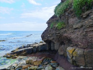 Eday Group rocks from the Old Red Sandstone Supergroup at Newark Bay in Orkney