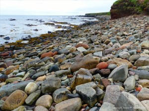 Beach boulders and stones
