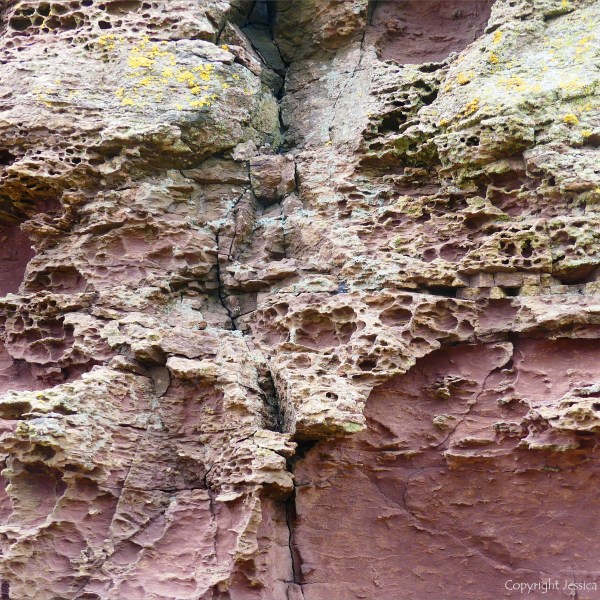 Weathered sedimentary rock texture from the Devonian Eday Group
