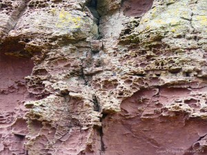 Weathered sedimentary rock texture from the Devonian Eday Group