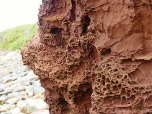 Weathered sedimentary rock texture from the Devonian Eday Group