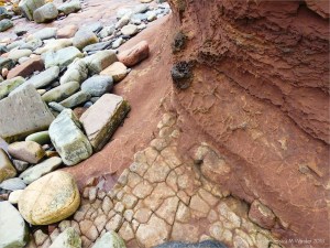 Weathered sedimentary rock texture from the Devonian Eday Group