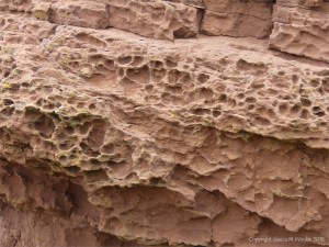 Weathered sedimentary rock texture from the Devonian Eday Group