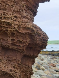 Weathered sedimentary rock texture from the Devonian Eday Group