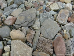 Cobble size beach stones on the west side of Newark Bay