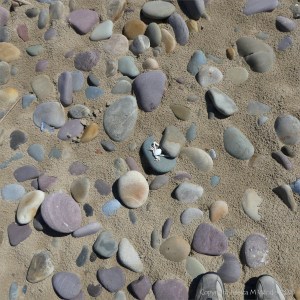 Beach pebbles