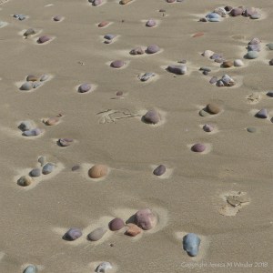 Beach pebbles