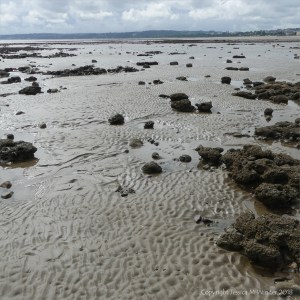 Ripple patterns on the seashore