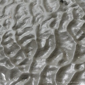 Natural pattern and texture in wet beach sand