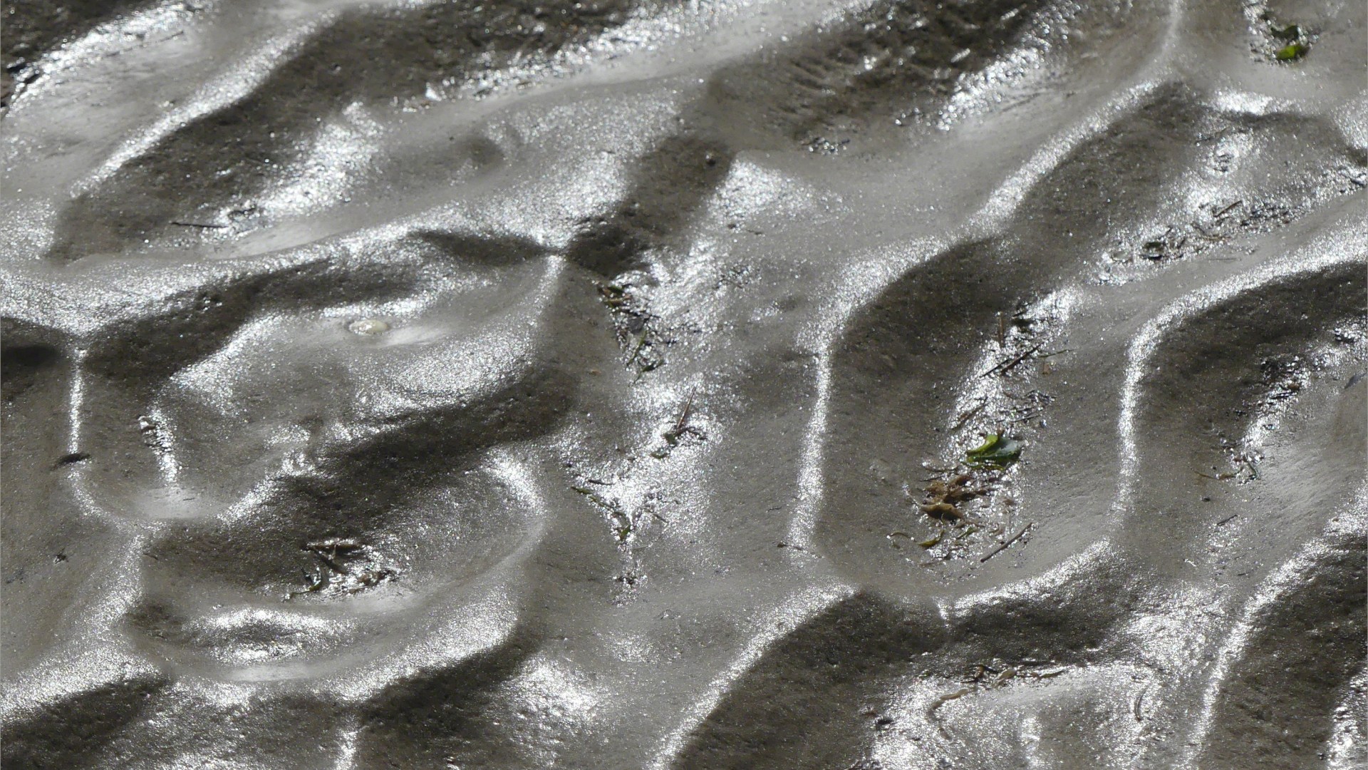Close-up of natural ripple patterns in wet sand