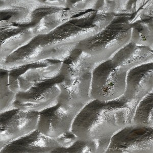 Close-up of natural ripple patterns in wet sand