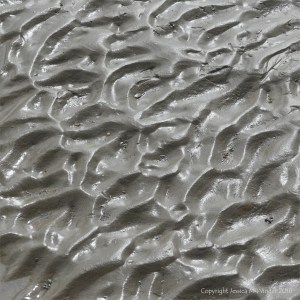 Close-up of natural ripple patterns in wet sand
