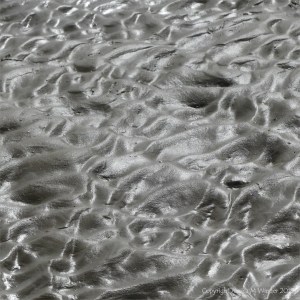 Glistening texture of wet sand on the seashore